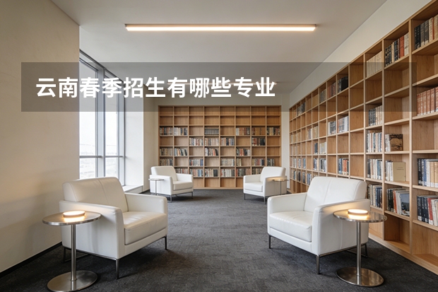 云南春季招生有哪些专业