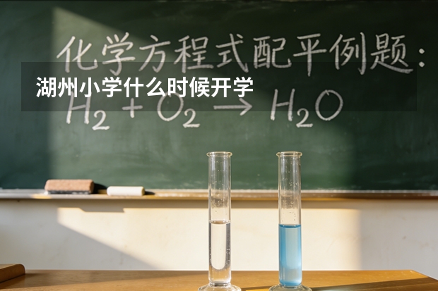 湖州小学什么时候开学