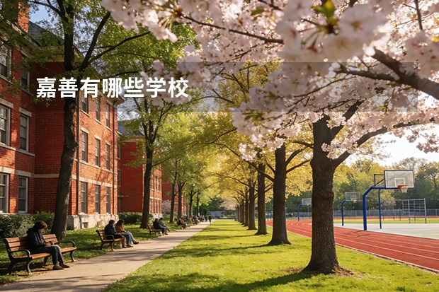 嘉善有哪些学校