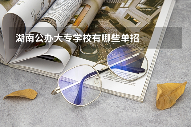 湖南公办大专学校有哪些单招