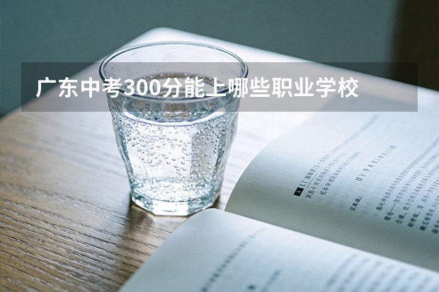 广东中考300分能上哪些职业学校