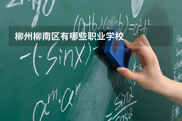 柳州柳南区有哪些职业学校