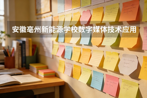 安徽亳州新能源学校数字媒体技术应用可以考哪些证书？