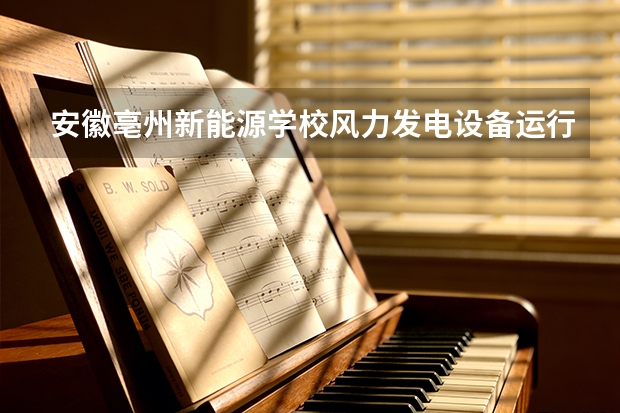 安徽亳州新能源学校风力发电设备运行与维护可以考哪些证书？