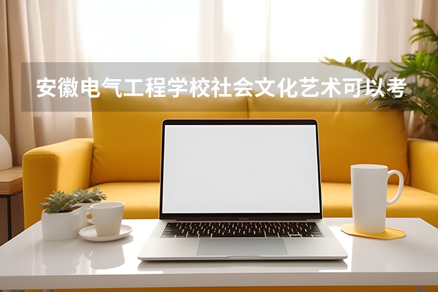 安徽电气工程学校社会文化艺术可以考哪些证书？