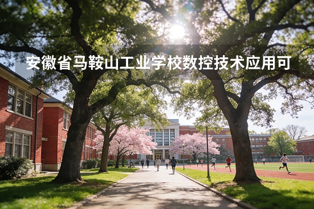 安徽省马鞍山工业学校数控技术应用可以考哪些证书？