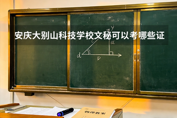 安庆大别山科技学校文秘可以考哪些证书？