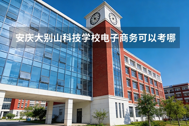 安庆大别山科技学校电子商务可以考哪些证书？