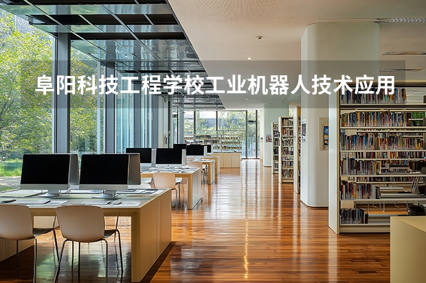 阜阳科技工程学校工业机器人技术应用可以考哪些证书？