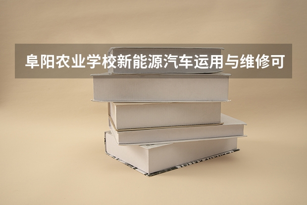 阜阳农业学校新能源汽车运用与维修可以考哪些证书？