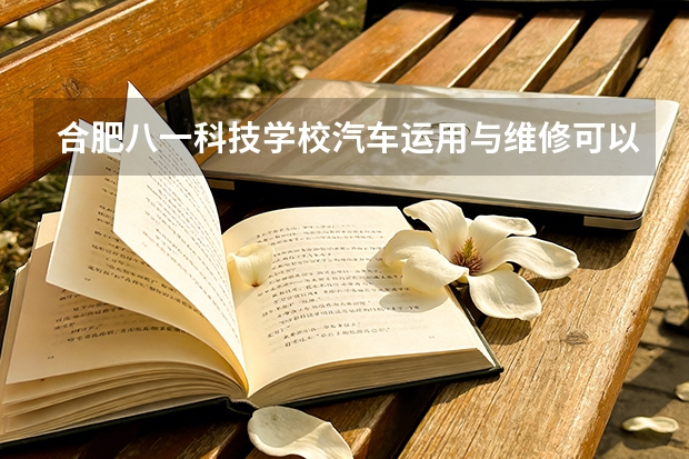 合肥八一科技学校汽车运用与维修可以考哪些证书？