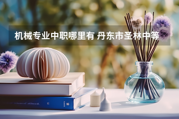 机械专业中职哪里有 丹东市圣林中等职业技术专业学校专业有哪些?专业介绍